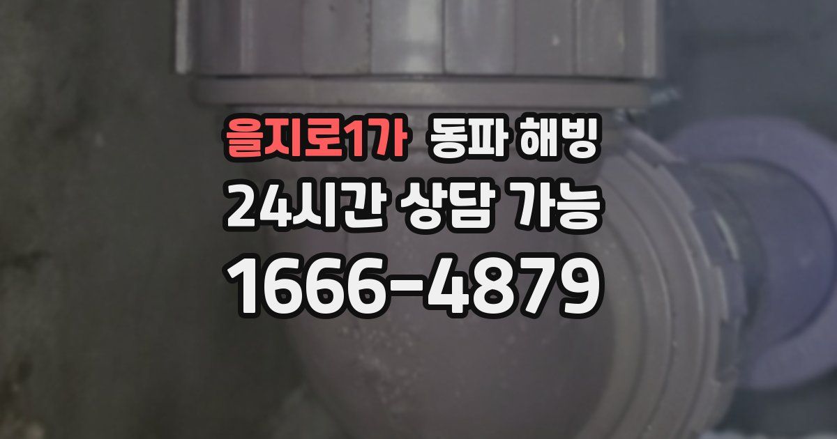 을지로1가 동파 해빙