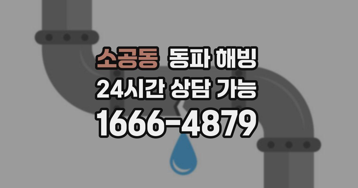 소공동 동파 해빙