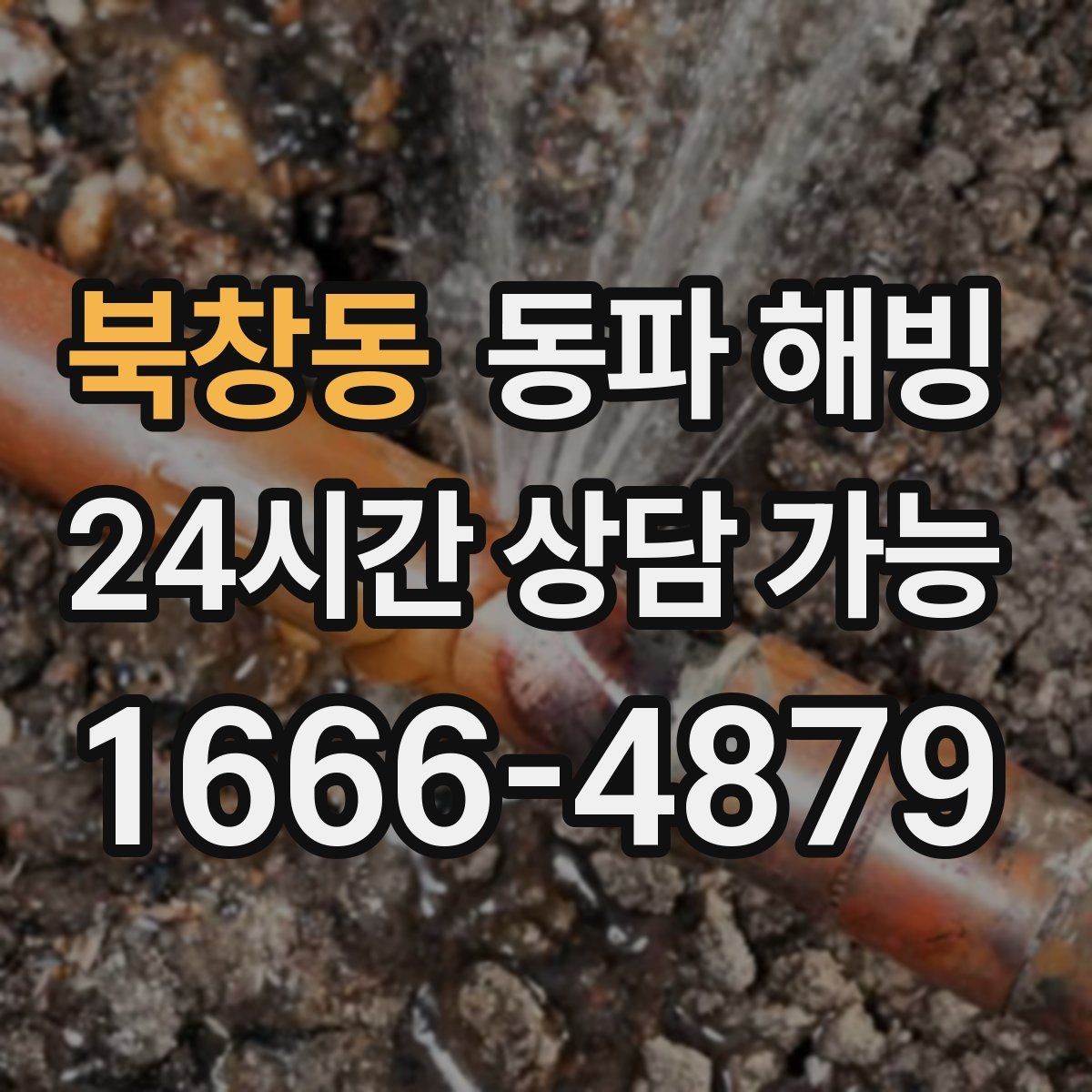 북창동 동파 해빙 카페 오픈 전 물이 안 나올 때 점검