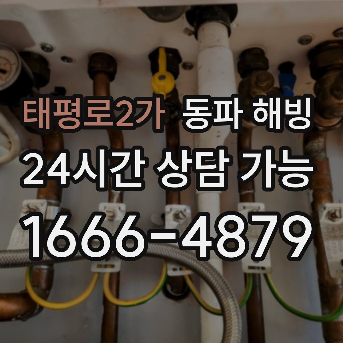 태평로2가 동파 해빙 바닥이 젖은 느낌이면 확인해야 할 포인트