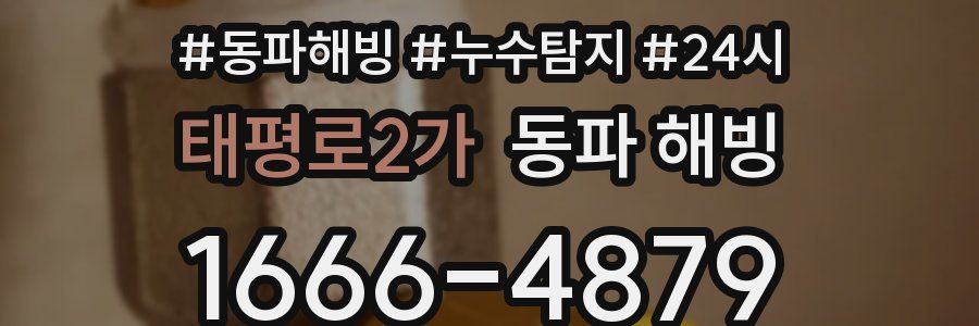 태평로2가 동파