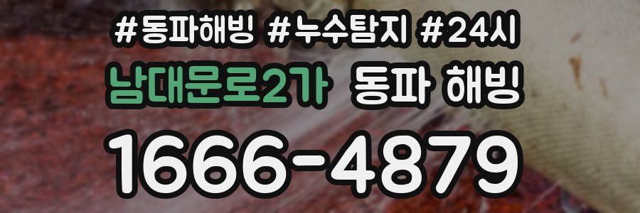 남대문로2가 동파