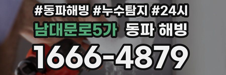 남대문로5가 동파