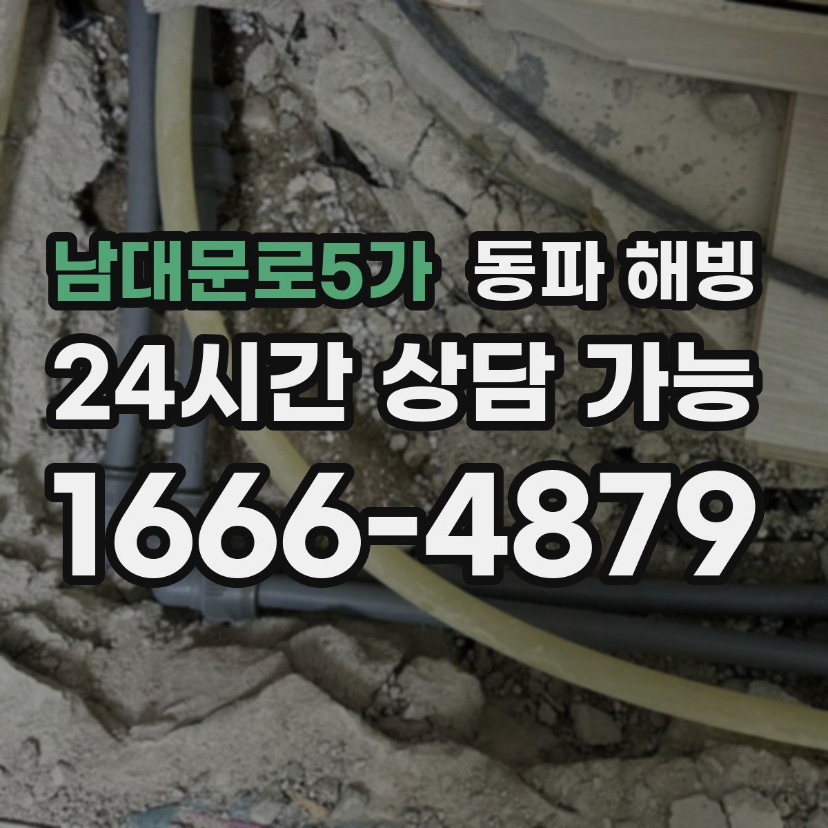 남대문로5가 해빙