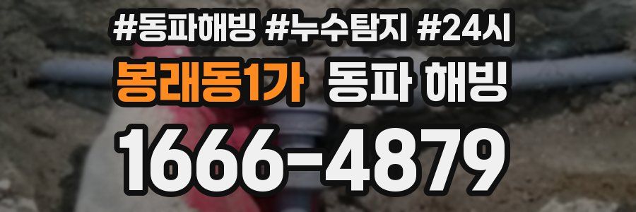 봉래동1가 동파