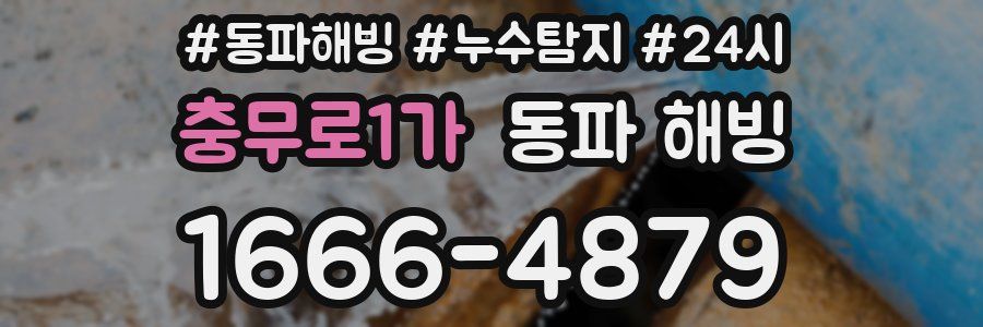 충무로1가 동파