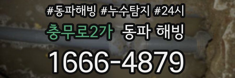 충무로2가 동파