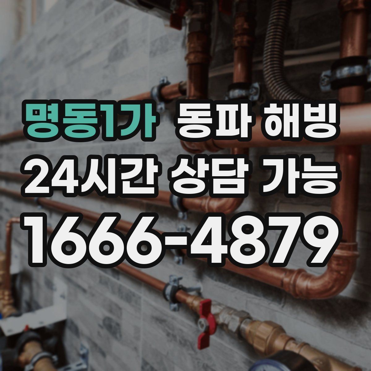 명동1가 동파 해빙 마당 수도만 막히는 결빙 패턴 정리