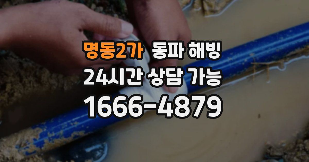 명동2가 동파 해빙