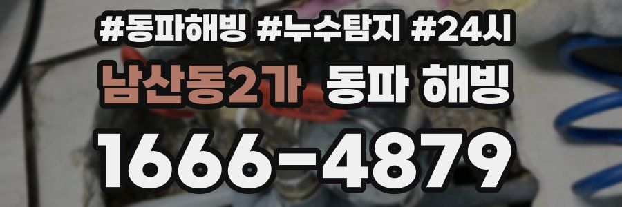 남산동2가 동파