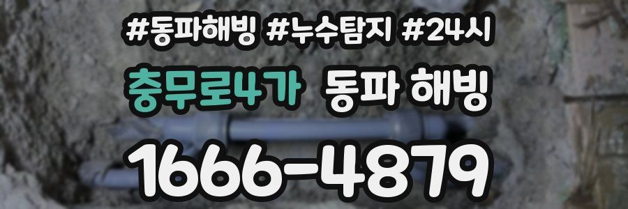 충무로4가 동파