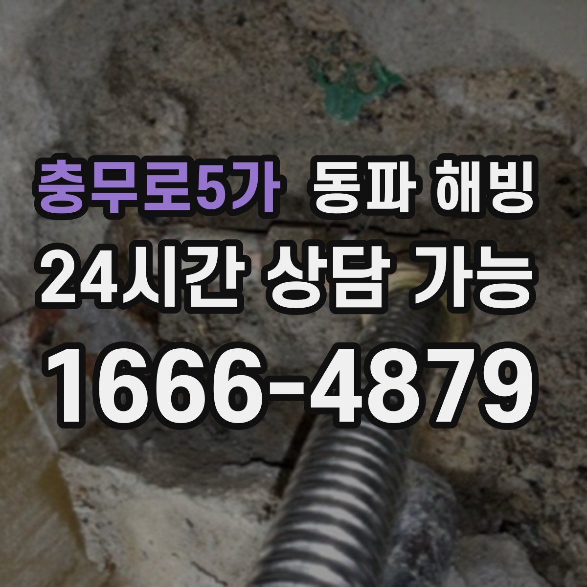 충무로5가 해빙