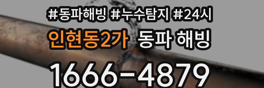 인현동2가 동파