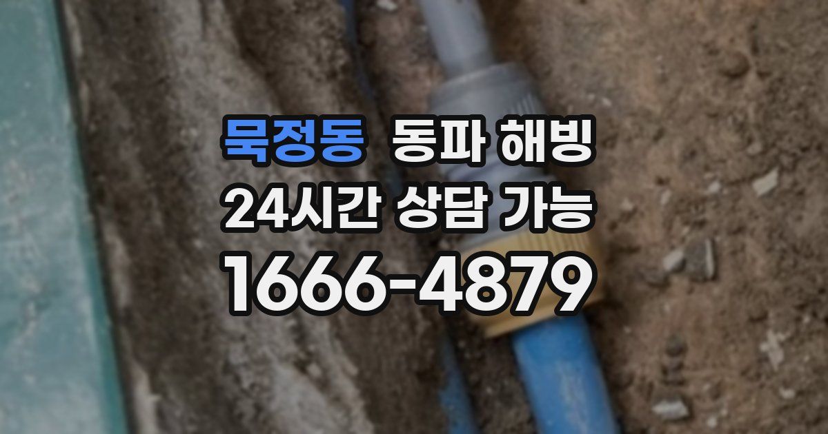 묵정동 동파 해빙