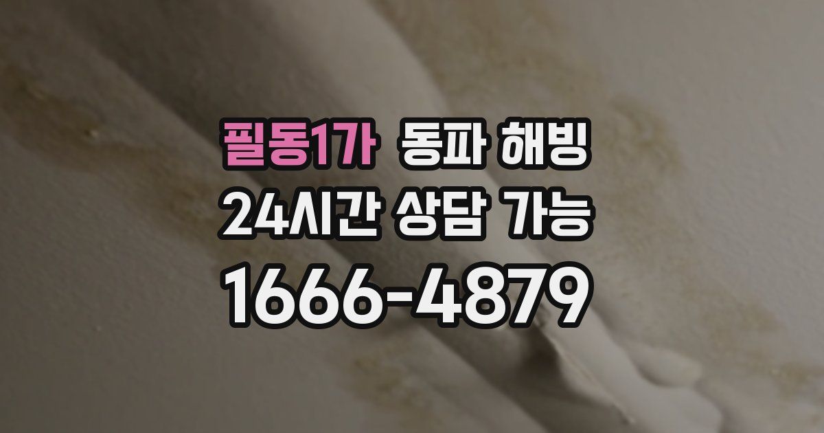 필동1가 동파 해빙