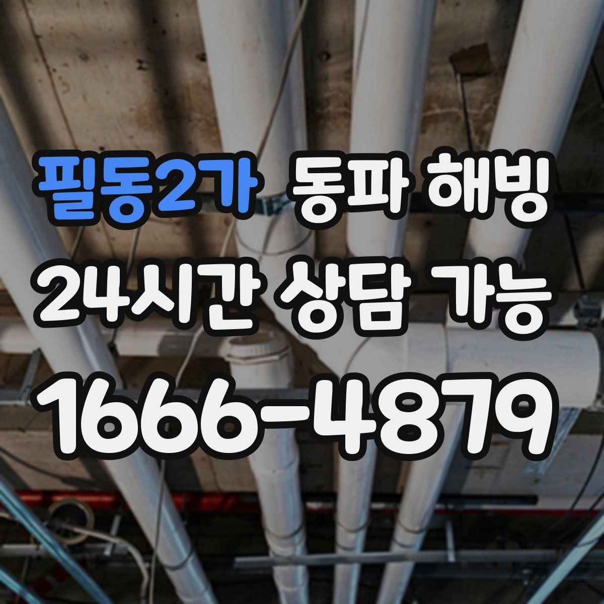 필동2가 동파 해빙 현장 점검이 어떤 순서로 진행되는지