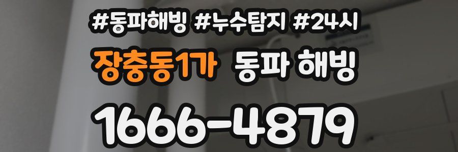 장충동1가 동파