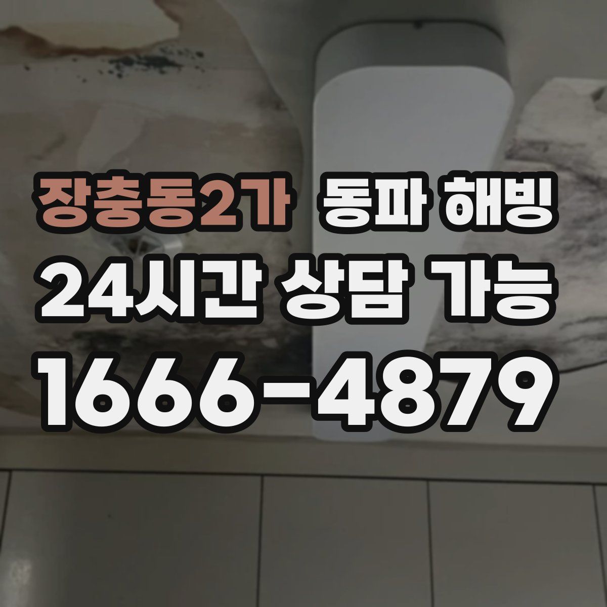 장충동2가 해빙