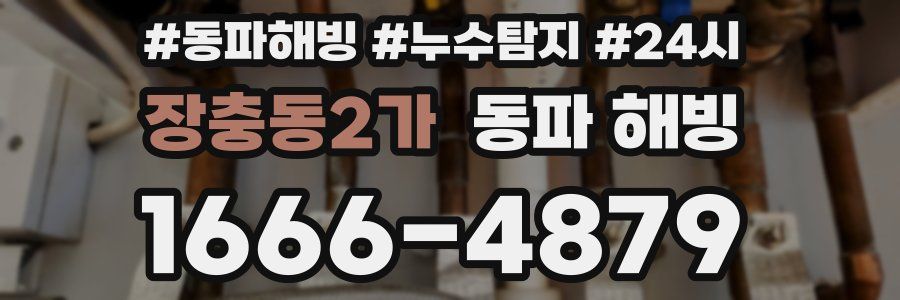 장충동2가 동파