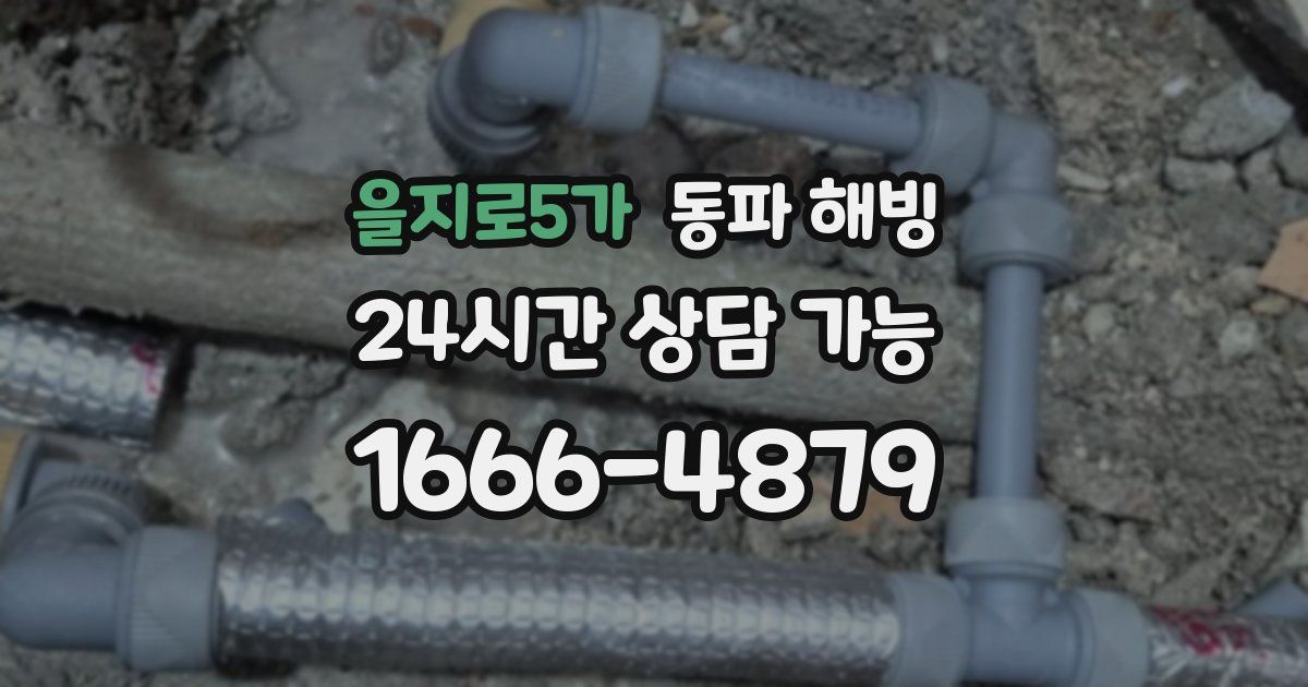 을지로5가 동파 해빙