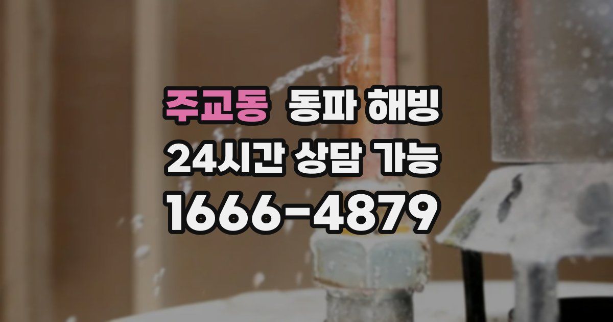 주교동 동파 해빙