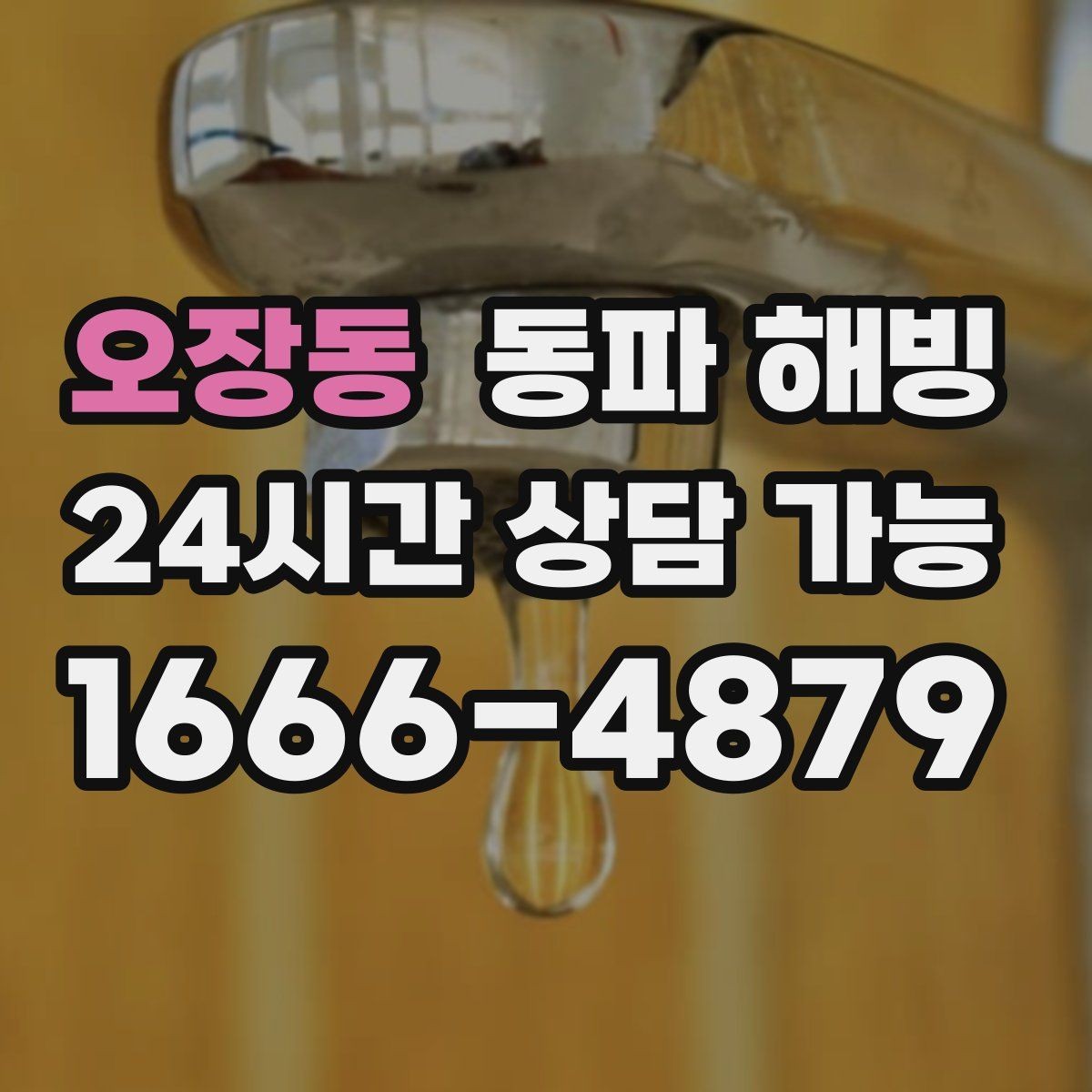 오장동 동파 해빙 특정 구역만 물이 안 나올 때 확인