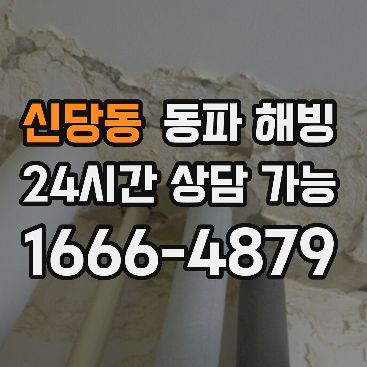 신당동 동파 해빙 기온 급강하 뒤 급수 중단 대응 정리