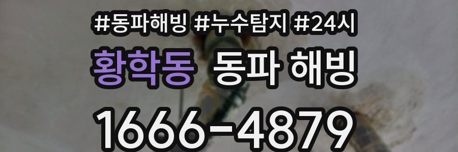 황학동 동파