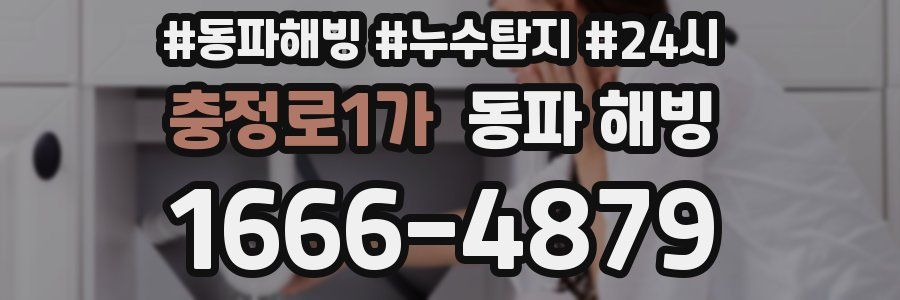 충정로1가 동파