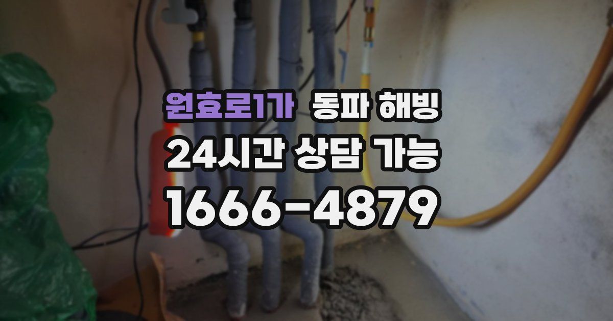 원효로1가 동파 해빙