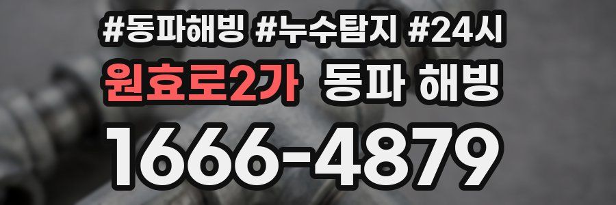 원효로2가 동파