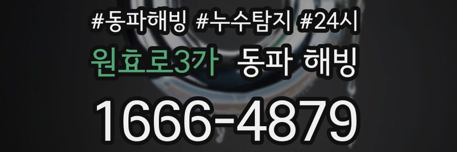 원효로3가 동파