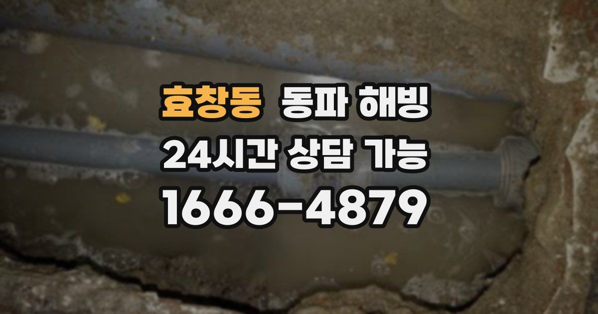 효창동 동파 해빙