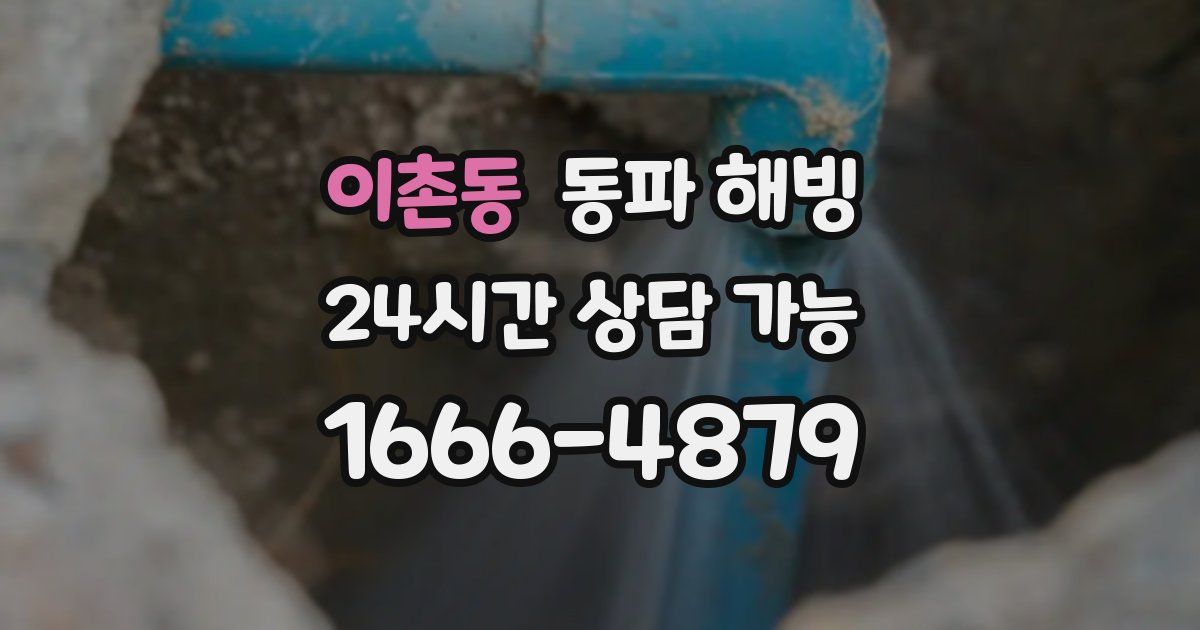 이촌동 동파 해빙