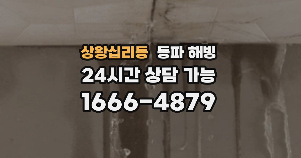 상왕십리동 동파 해빙