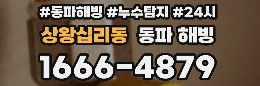 상왕십리동 동파