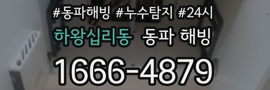 하왕십리동 동파