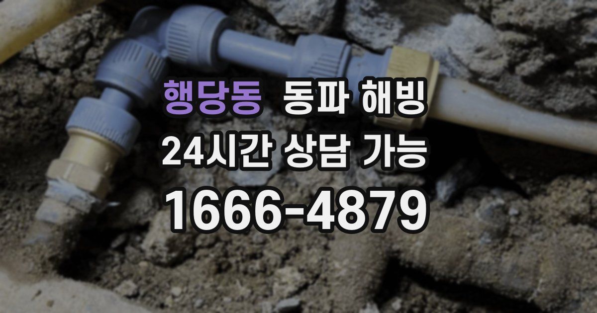 행당동 동파 해빙