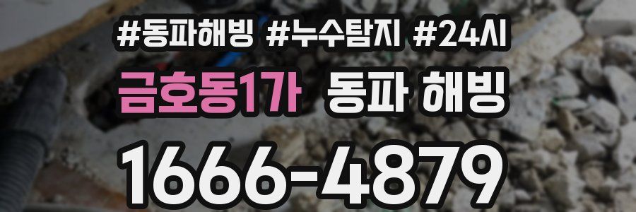 금호동1가 동파