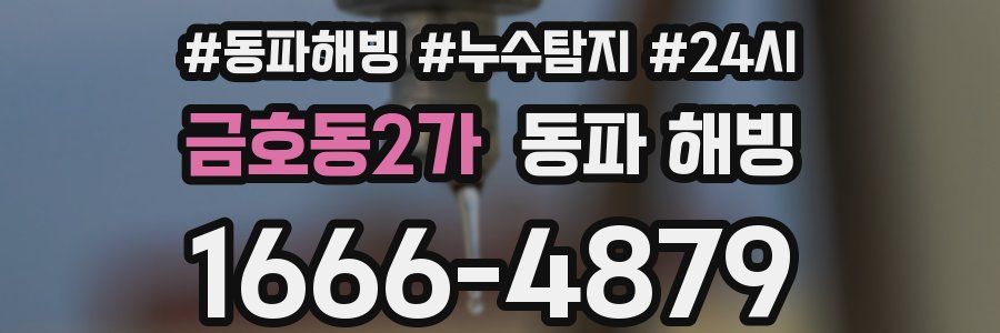 금호동2가 동파