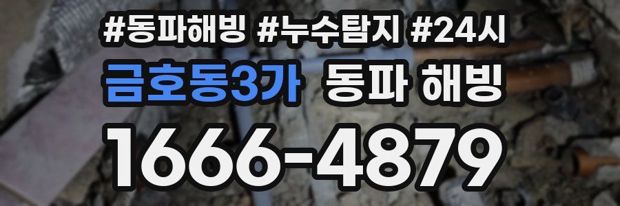 금호동3가 동파