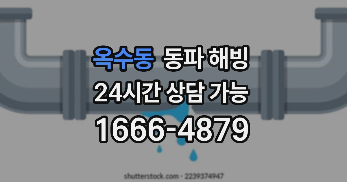 옥수동 동파 해빙