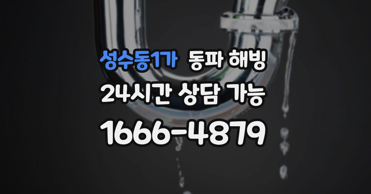 성수동1가 동파 해빙