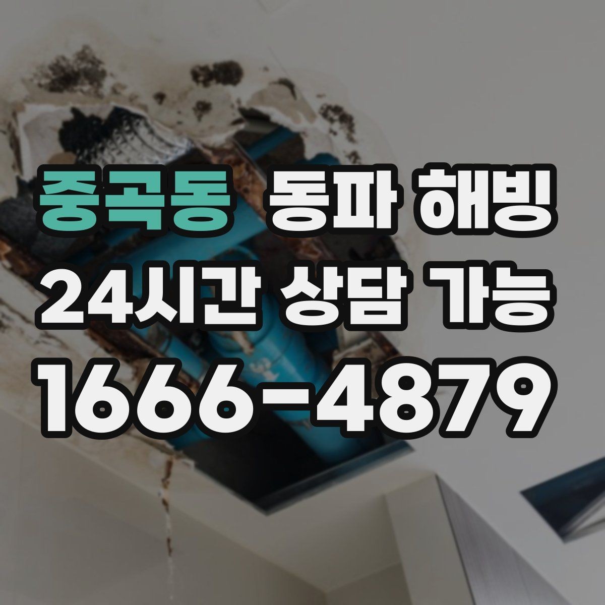 중곡동 동파 해빙 세대 전체 급수 중단 계량기부터 보기