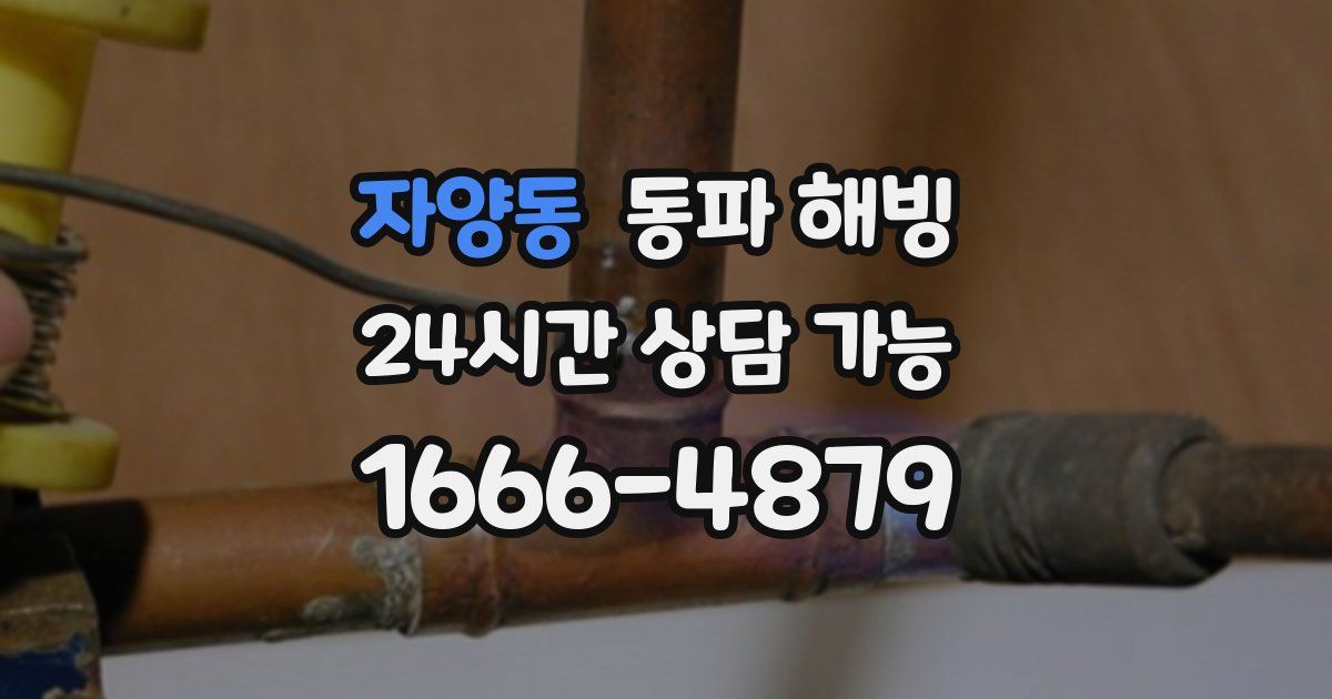 자양동 동파 해빙