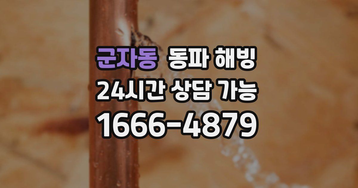 군자동 동파 해빙