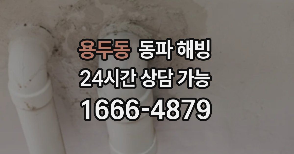 용두동 동파 해빙