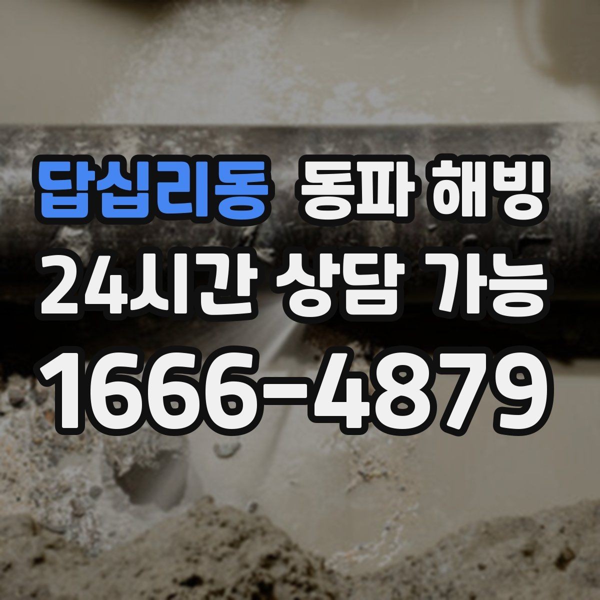 답십리동 동파 해빙 세탁기만 막히는 결빙 패턴 정리