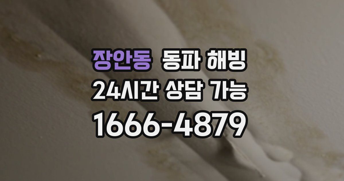 장안동 동파 해빙