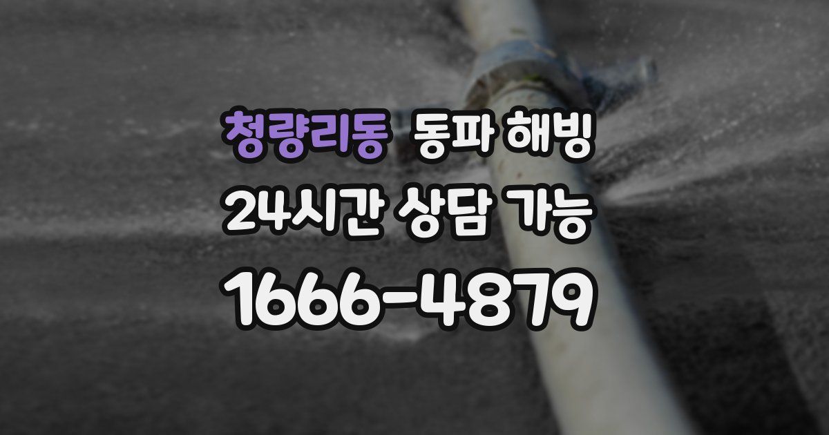 청량리동 동파 해빙